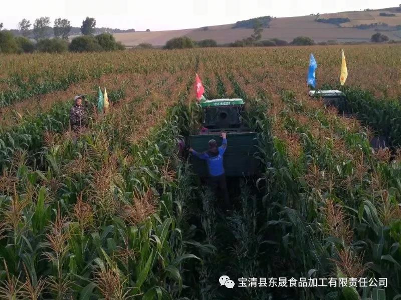 1603701573862240.jpg 4.jpg