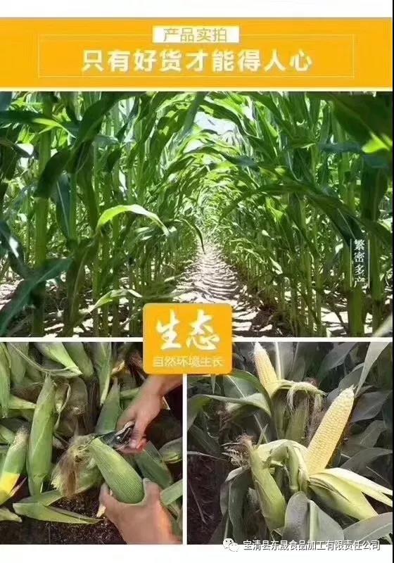 1634710376146434.jpg 2.jpg