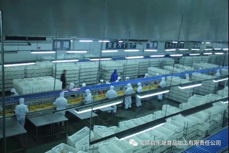 1634710494800345.jpg 5.jpg