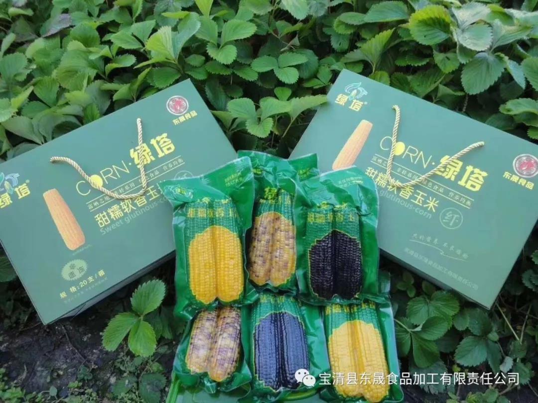 1634710508168719.jpg 7.jpg